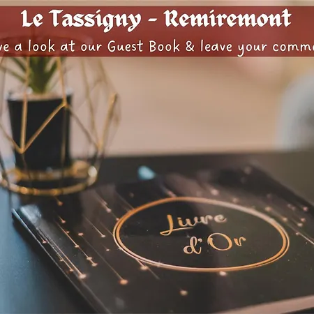 Le Tassigny 3 Etoiles - Hyper-Centre Balneo Wifi Parking Apartment Remiremont Exterior photo