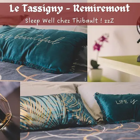 Le Tassigny 3 Etoiles - Hyper-Centre Balneo Wifi Parking Apartment Remiremont Exterior photo