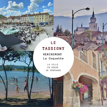 Le Tassigny 3 Etoiles - Hyper-Centre Balneo Wifi Parking Apartment Remiremont Exterior photo