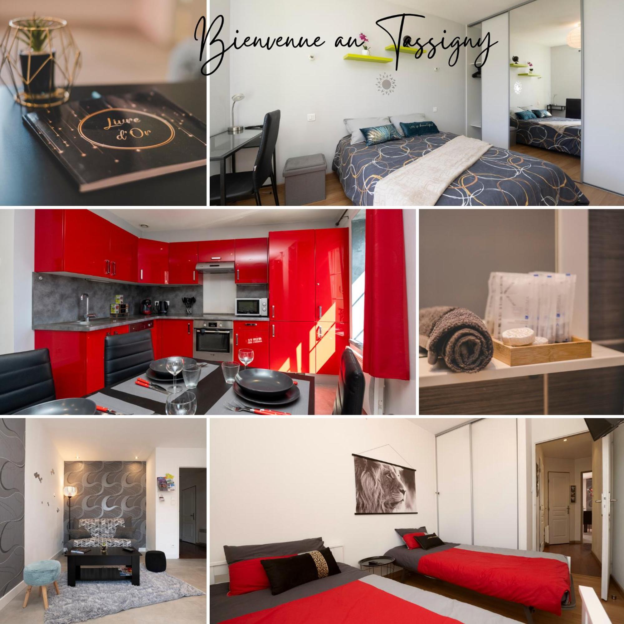 Le Tassigny 3 Etoiles - Hyper-centre Balneo Wifi Parking Remiremont